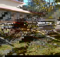 Mr and Mrs Behan Sulky Display - Accommodation in Bendigo