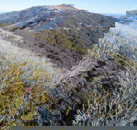 Mt Buller Bike Park - Accommodation in Bendigo