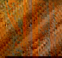 Newcastle Waters - Accommodation in Bendigo