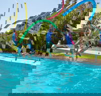 Oaklands War Memorial Swimming Pool - Accommodation in Bendigo