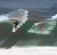 Old Bar - Accommodation in Bendigo