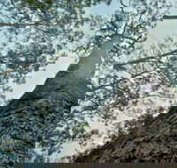 O'Sullivans Gap Picnic Area - Accommodation in Bendigo