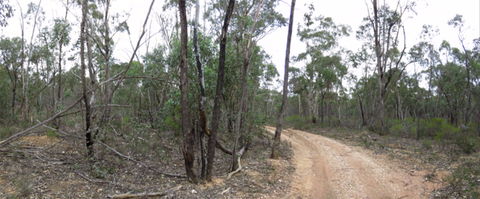 Paddys Ranges State Park - Accommodation in Bendigo 0