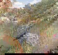 Palm Springs - Accommodation in Bendigo