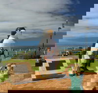 Penguin - Accommodation in Bendigo