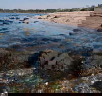 Point Cook Marine Sanctuary - Accommodation in Bendigo