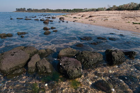 Point Cook Marine Sanctuary - Accommodation in Bendigo 0