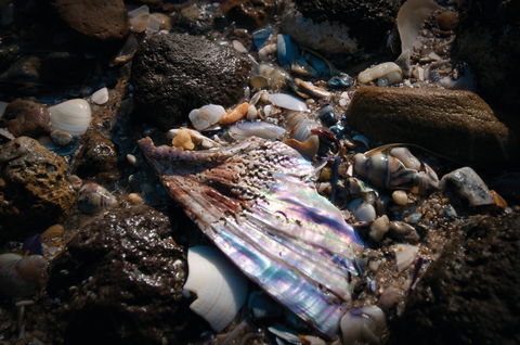 Point Cook Marine Sanctuary - Accommodation in Bendigo 1