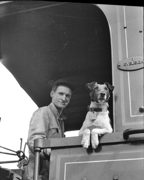 Railway Temora - Accommodation in Bendigo 0