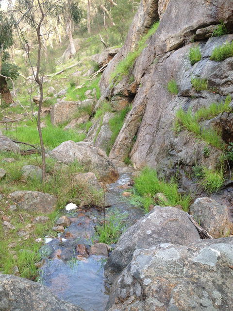 Salisbury Falls Walk - Accommodation in Bendigo 2