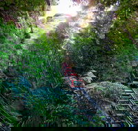 Scenic World Blue Mountains - Accommodation in Bendigo