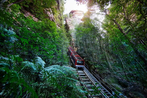 Scenic World Blue Mountains - Accommodation in Bendigo 0