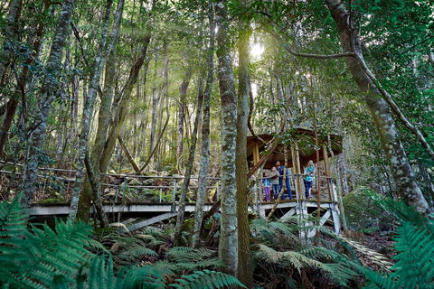 Scenic World Blue Mountains - Accommodation in Bendigo 2