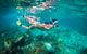 Snorkel The Ningaloo Reef - thumb 1