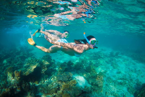 Snorkel The Ningaloo Reef - Accommodation in Bendigo 1