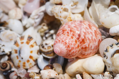 Stokes National Park - Accommodation in Bendigo 0