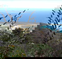 Strzelecki Peaks Great Short Walk - Accommodation in Bendigo