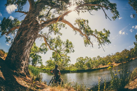 Sturt Gorge Recreation Park - Accommodation in Bendigo 0