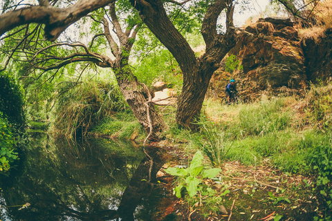 Sturt Gorge Recreation Park - Accommodation in Bendigo 1