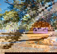 Surat - Accommodation in Bendigo