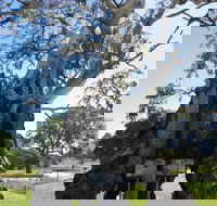 The Herbig Family Tree - Accommodation in Bendigo