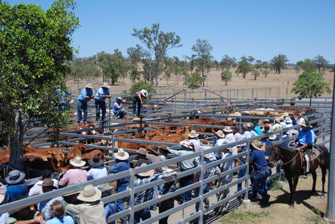 Toogoolawah - Accommodation in Bendigo 2