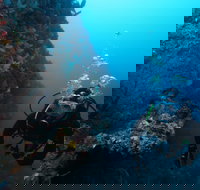 Twelve Apostles Marine National Park - Accommodation in Bendigo