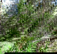 Tyers Park - Accommodation in Bendigo