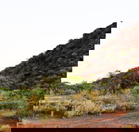Whyalla Conservation Park - Accommodation in Bendigo