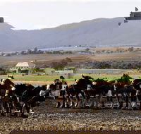 Yangan - Accommodation in Bendigo