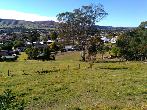 Apex Lookout Dungog - Accommodation in Bendigo 1