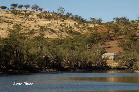 Bilya Walk Track - Accommodation in Bendigo 2