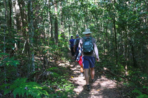 Booloumba Falls Walk, Conondale National Park - Accommodation in Bendigo 1