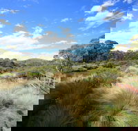 Bullocks walking track - Accommodation in Bendigo