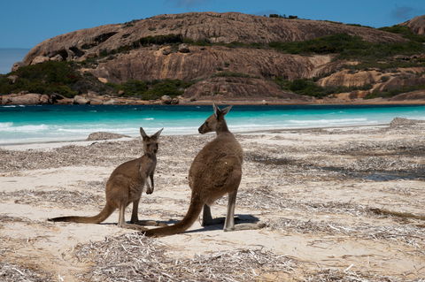 Cape Le Grand National Park - Accommodation in Bendigo 0