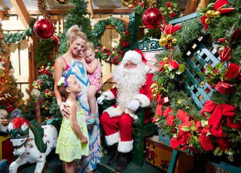 Christmas Tree Farm - Accommodation in Bendigo 2