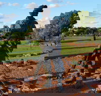 Cobar Miners Heritage Park