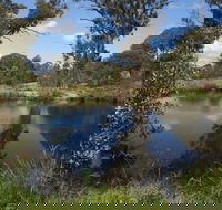 Cooleman Ridge - Accommodation in Bendigo