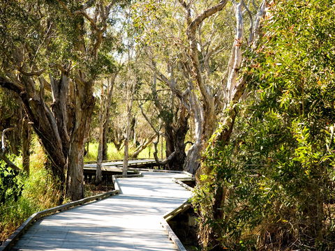 Eagleby Wetlands - Accommodation in Bendigo 1