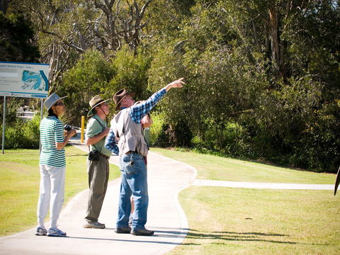 Eagleby Wetlands - Accommodation in Bendigo 2