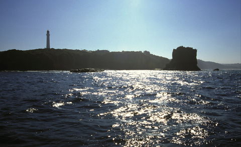 Eagle Rock Marine Sanctuary - Accommodation in Bendigo 2