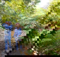 Endeavour Fern Gully Walks - Accommodation in Bendigo