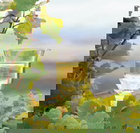 Flavours of the Porongurup Range Trail - Accommodation in Bendigo