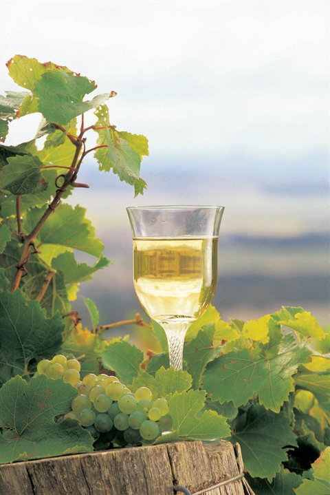 Flavours Of The Porongurup Range Trail - Accommodation in Bendigo 0