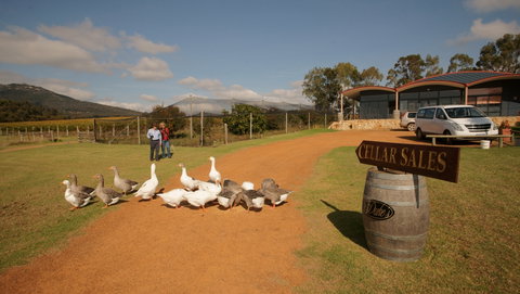 Flavours Of The Porongurup Range Trail - Accommodation in Bendigo 2