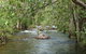 Florence Creek Walk - thumb 0