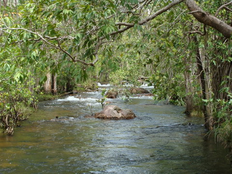 Florence Creek Walk - Accommodation in Bendigo 0