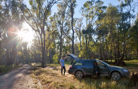Forest Drive, Murrumbidgee Valley National Park - Accommodation in Bendigo 0