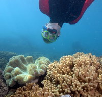 Geoffrey Bay Snorkel Trail - Accommodation in Bendigo
