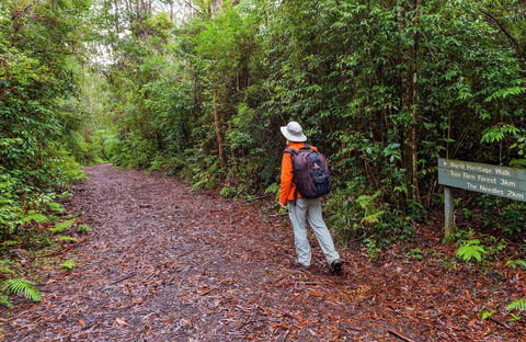 Gibraltar-Washpool World Heritage Walk - Accommodation in Bendigo 0